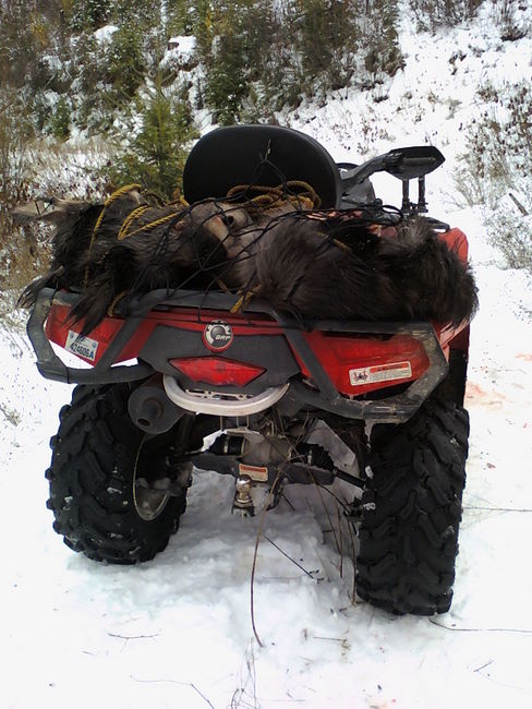 Moose Hunt 2011 014.jpg